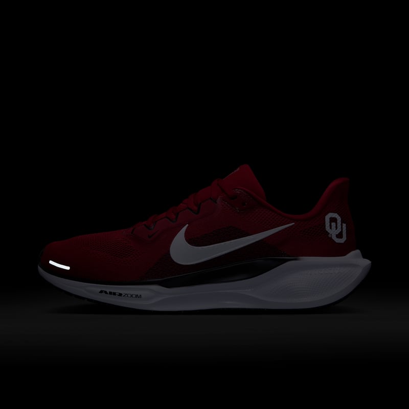 Nike Pegasus 41 FZ5137-601 09