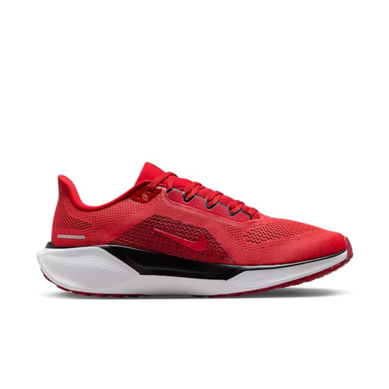 Nike Pegasus 41 FZ5115-600 03