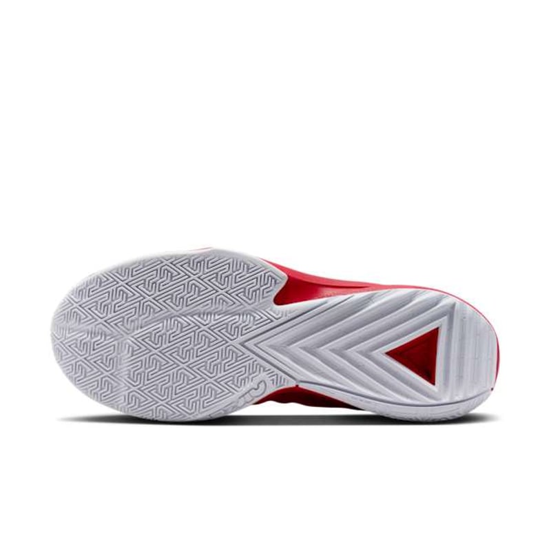Nike Giannis Freak 5 DZ2946-600 02