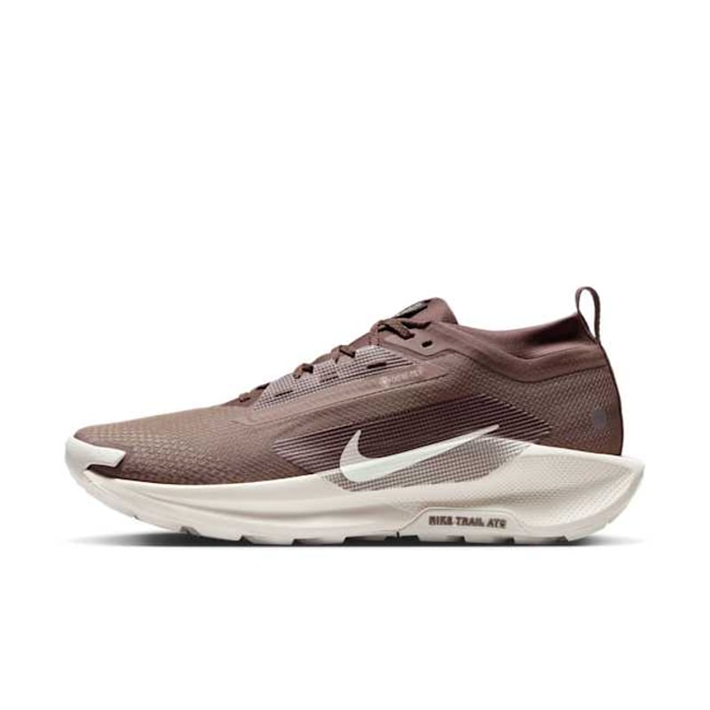 Nike Pegasus Trail 5 GORE-TEX SP HQ7494-200 01
