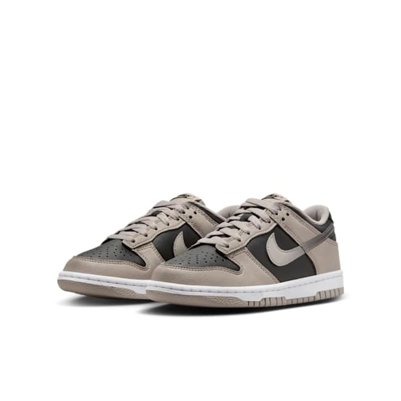 Nike Dunk Low HV6363-009 05