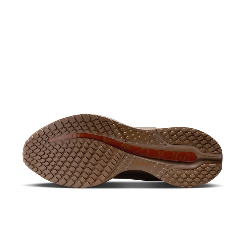 Nike Pegasus Premium IQ5691-200 02