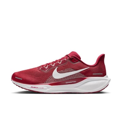 Nike Pegasus 41 FZ5103-600