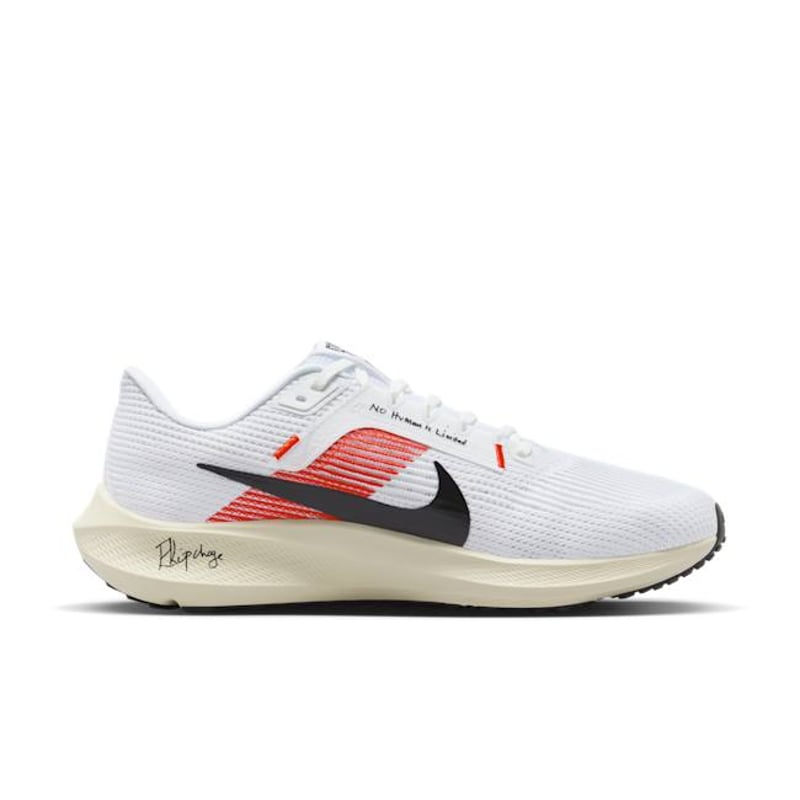 Nike Pegasus 40 FJ0686-100 03