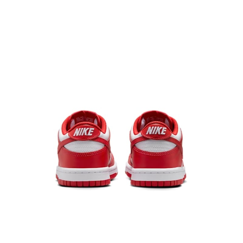 Nike Dunk Low FB9109-119 06
