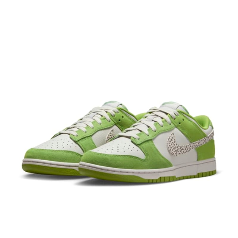 Nike Dunk Low DR0156-300 05