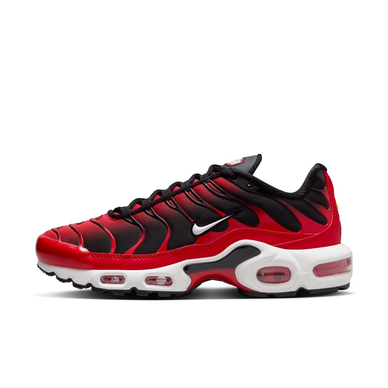 Nike Air Max Plus FV0950-600 01