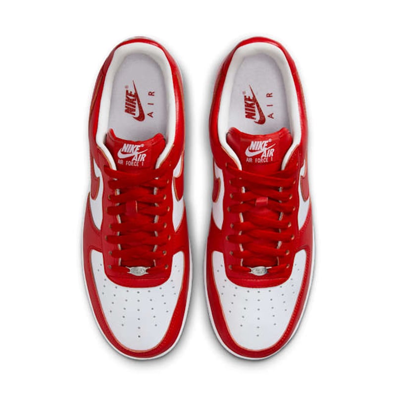 Nike Air Force 1 Low x Terror Squad II4391-100 04