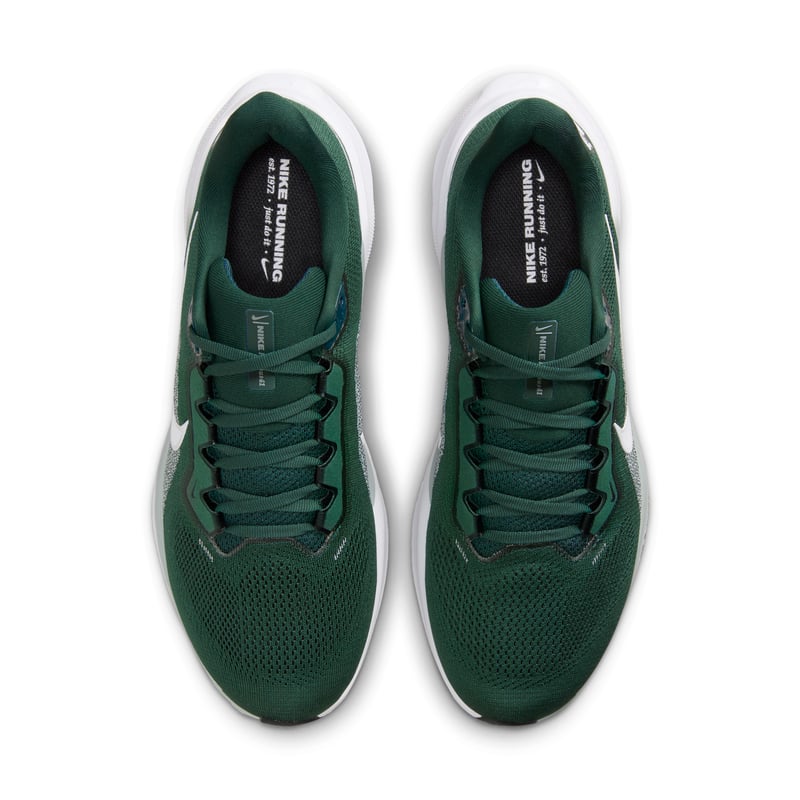 Nike Pegasus 41 IB3250-300 04