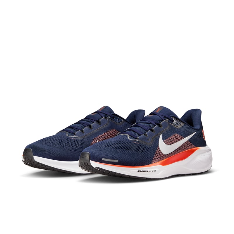 Nike Pegasus 41 IB3252-400 05