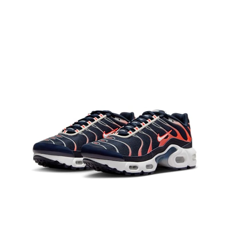 Nike Air Max Plus CD0609-408 05