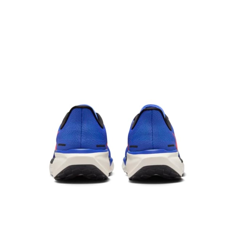 Nike Pegasus 41 FD2722-401 06