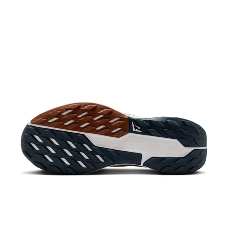 Nike Pegasus Trail 5 DV3865-102 02