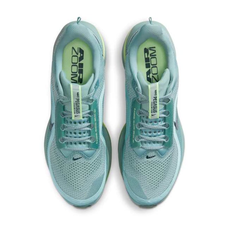 Nike Pegasus Premium HQ2592-009 04