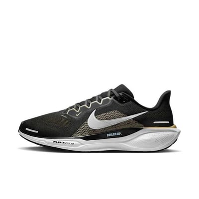 Nike Pegasus 41 HF6353-001