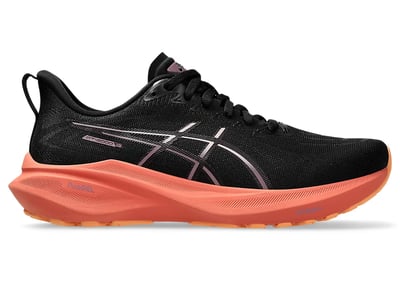 ASICS GT-2000 13 1012B666-001