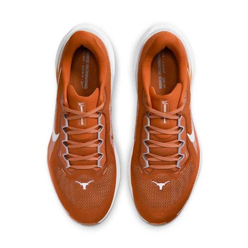 Nike Pegasus 41 FZ5145-800 04
