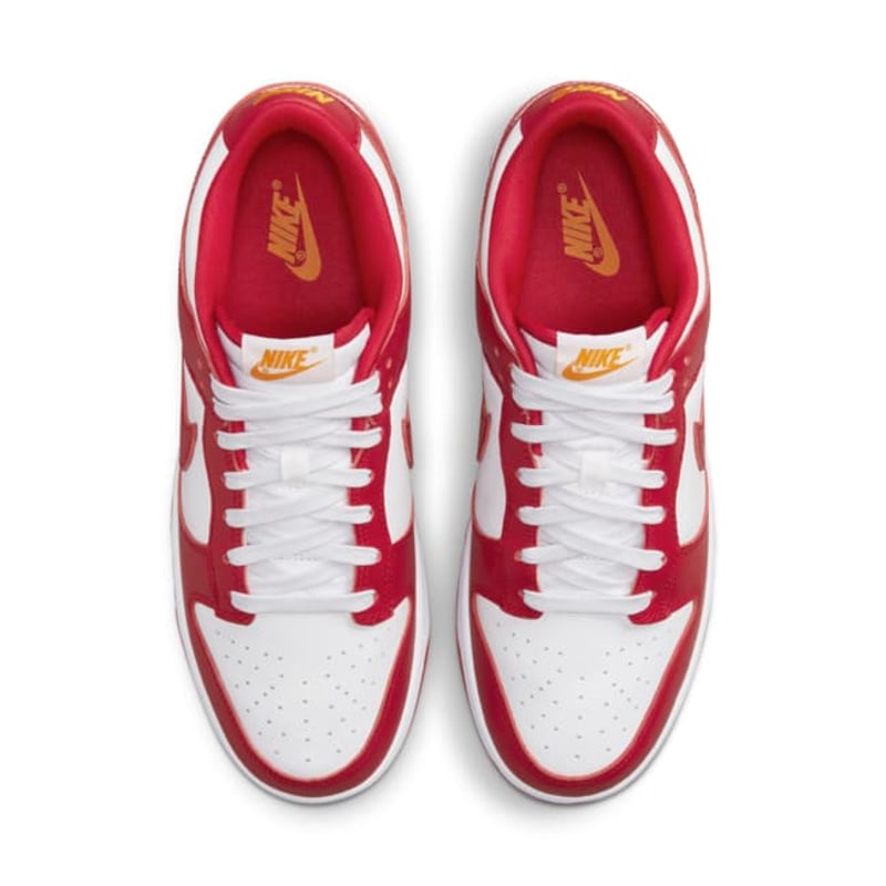 Nike Dunk Low Retro DD1391-602 04