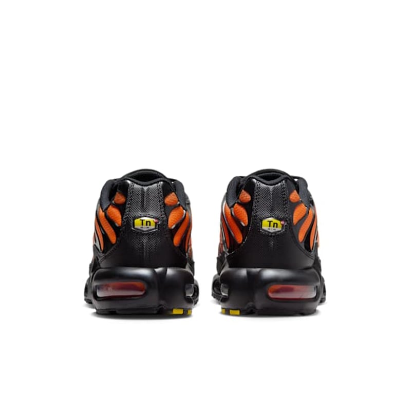 Nike Air Max Plus DM0032-025 06