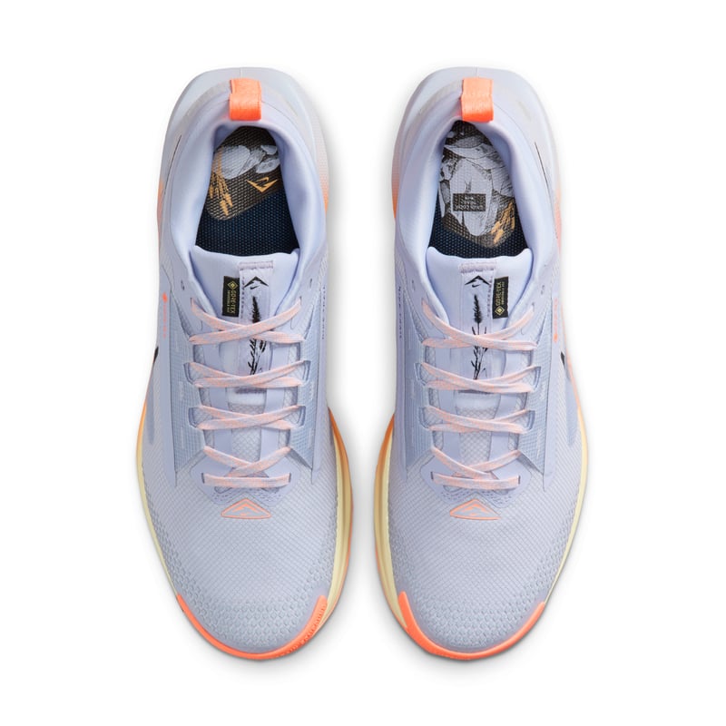 Nike Pegasus Trail 5 GORE-TEX FQ0908-011 04
