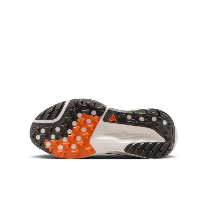 Nike ACG Pegasus IH2305-301 02