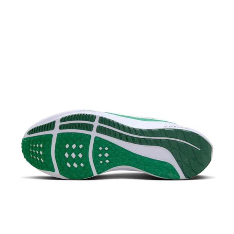 Nike Pegasus 40 Premium FJ0329-100 02