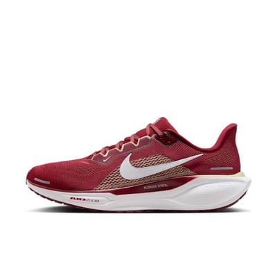 Nike Pegasus 41 FZ5114-600