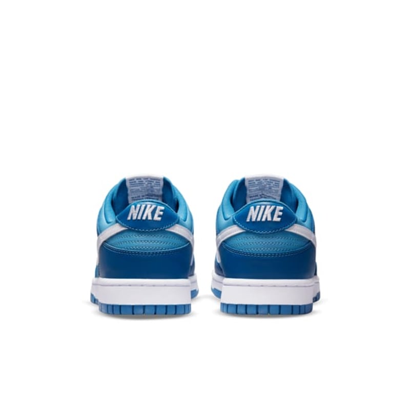 Nike Dunk Low DJ6188-400 06