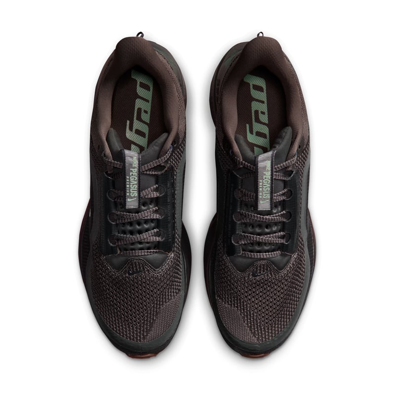Nike Pegasus Premium IR7546-030 04