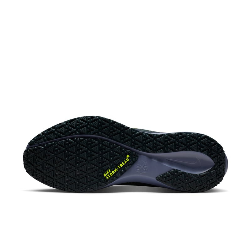 Nike Pegasus 41 GORE-TEX FQ1356-006 02