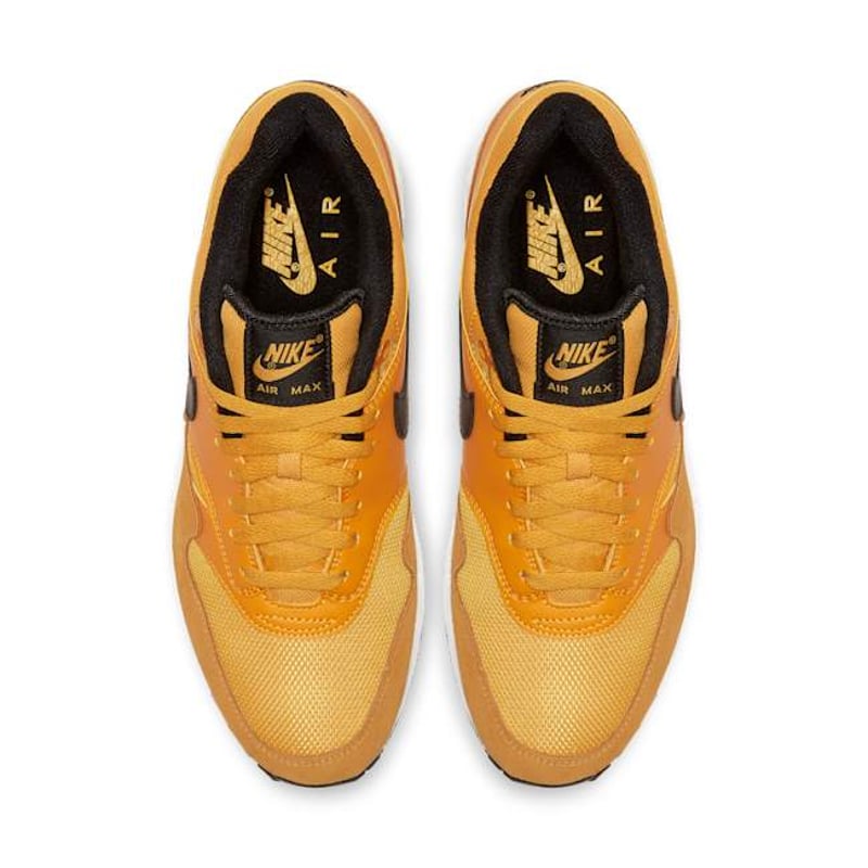 Nike Air Max 1 BV1254-700 04