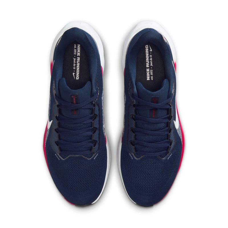 Nike Pegasus 41 IB3259-400 04