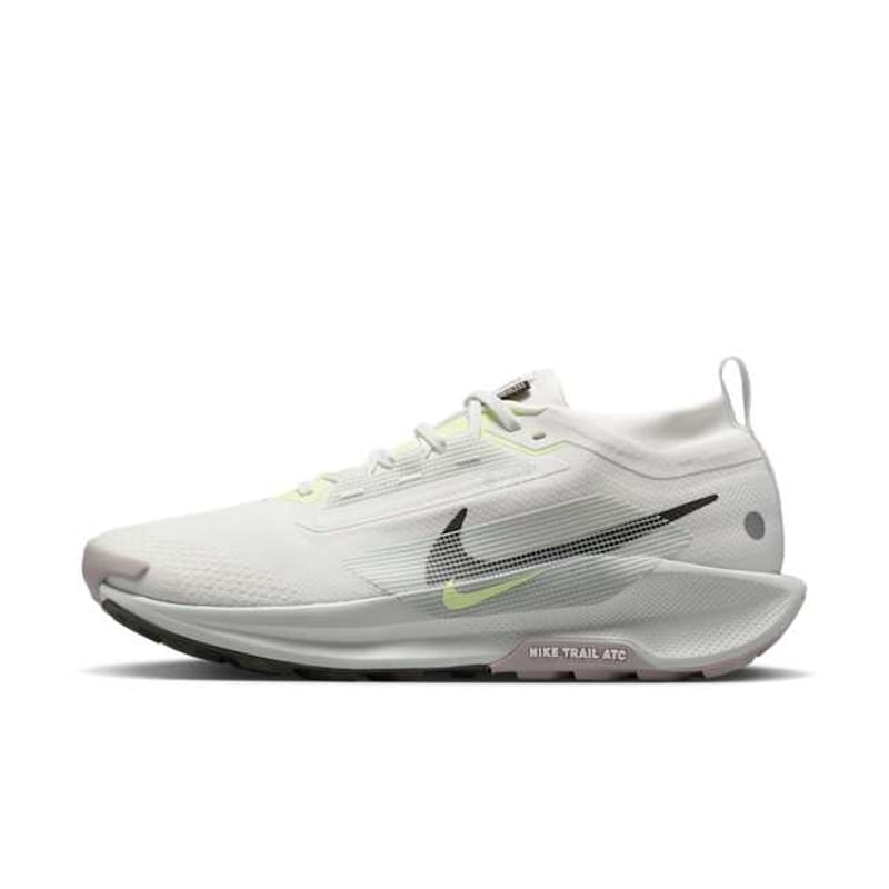 Nike Pegasus Trail 5 GORE-TEX FQ0908-102 01