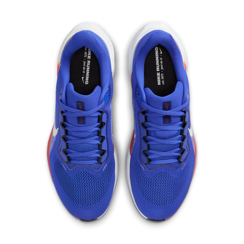 Nike Pegasus 41 IB3251-400 04
