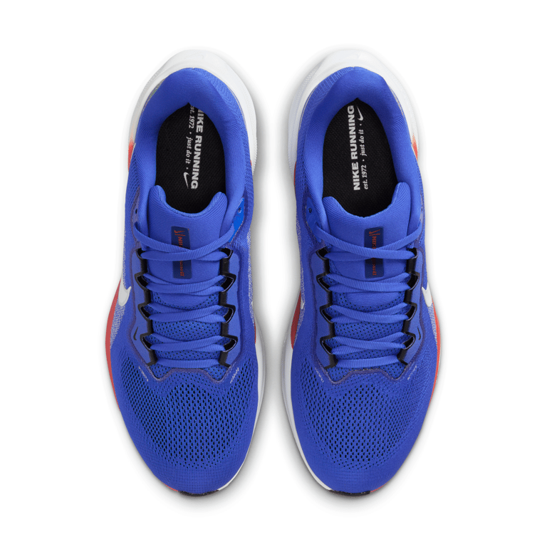 Nike Pegasus 41 IB3251-400 04