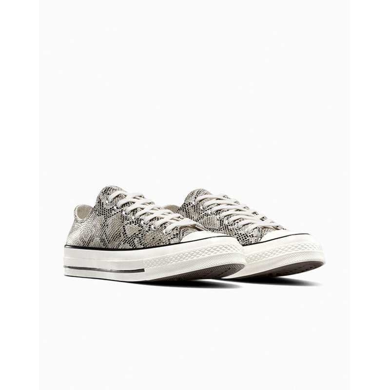 Converse Chuck 70 Low A13434C 05