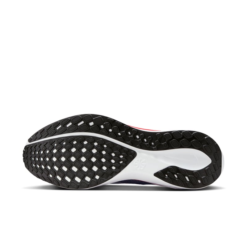 Nike Pegasus 41 IB3259-400 02