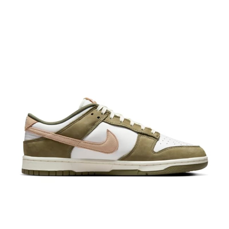 Nike Dunk Low Retro Premium FQ8250-200 03
