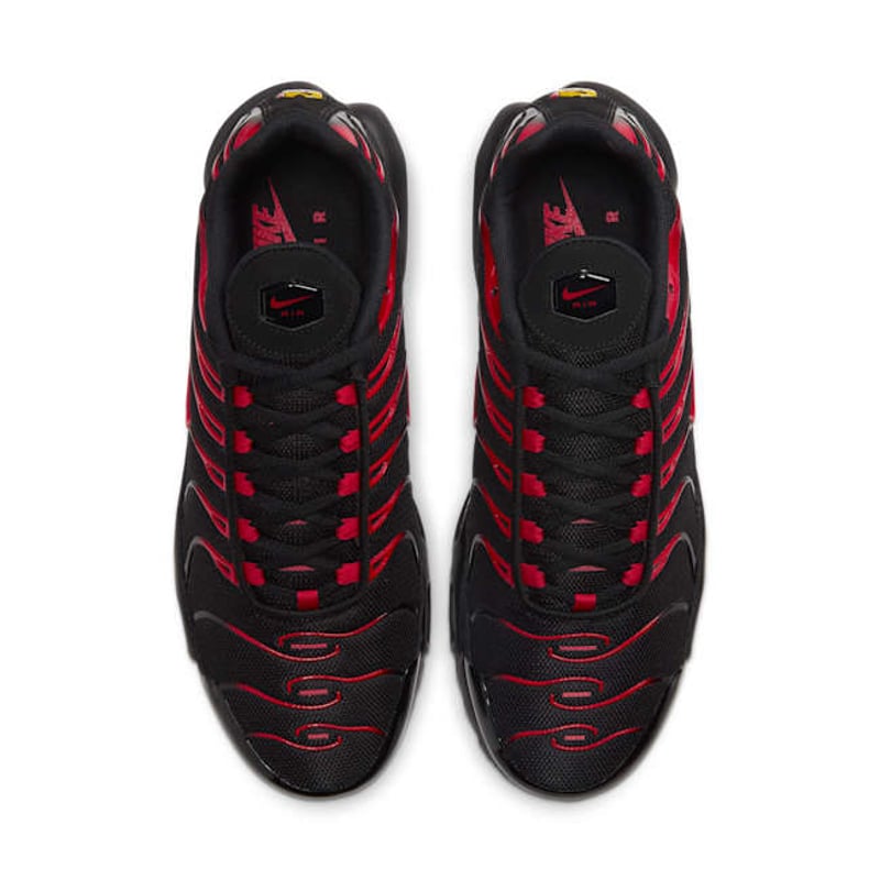 Nike Air Max Plus CU4864-001 04