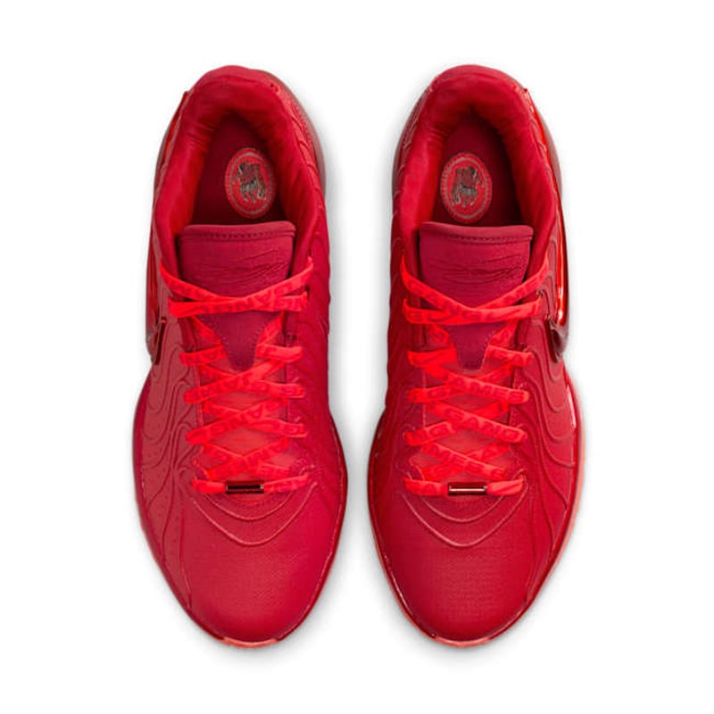 Nike LeBron 21 HF5951-600 04