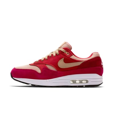 Nike Air Max 1 Premium Retro 908366-600 01