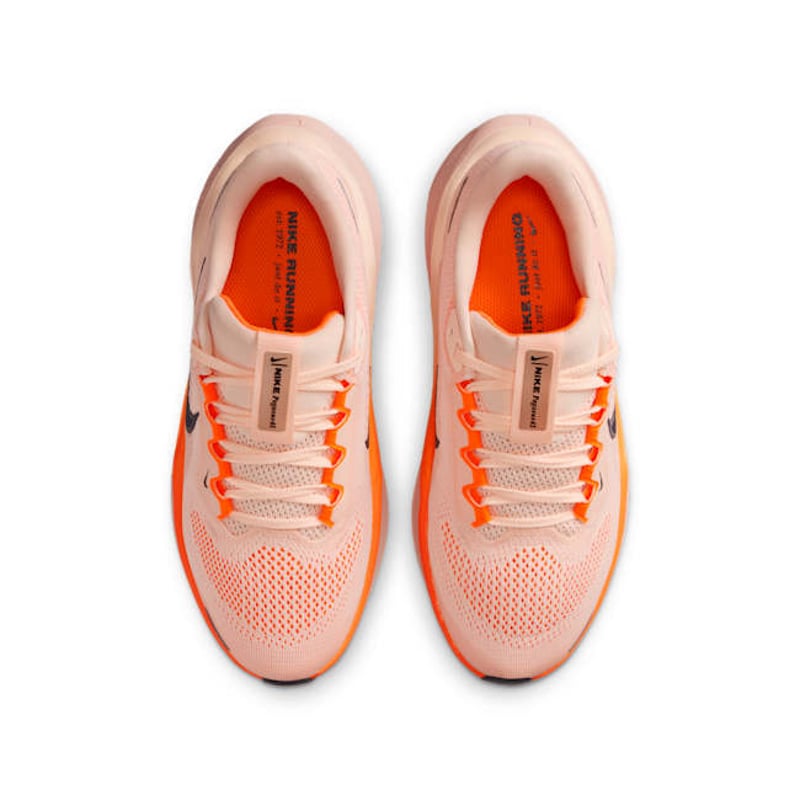 Nike Pegasus 41 FN5041-802 04