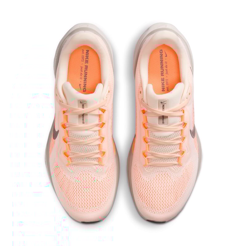 Nike Pegasus 41 FD2723-802 04