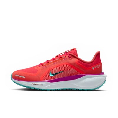 Nike Pegasus 41 GORE-TEX HM8870-600