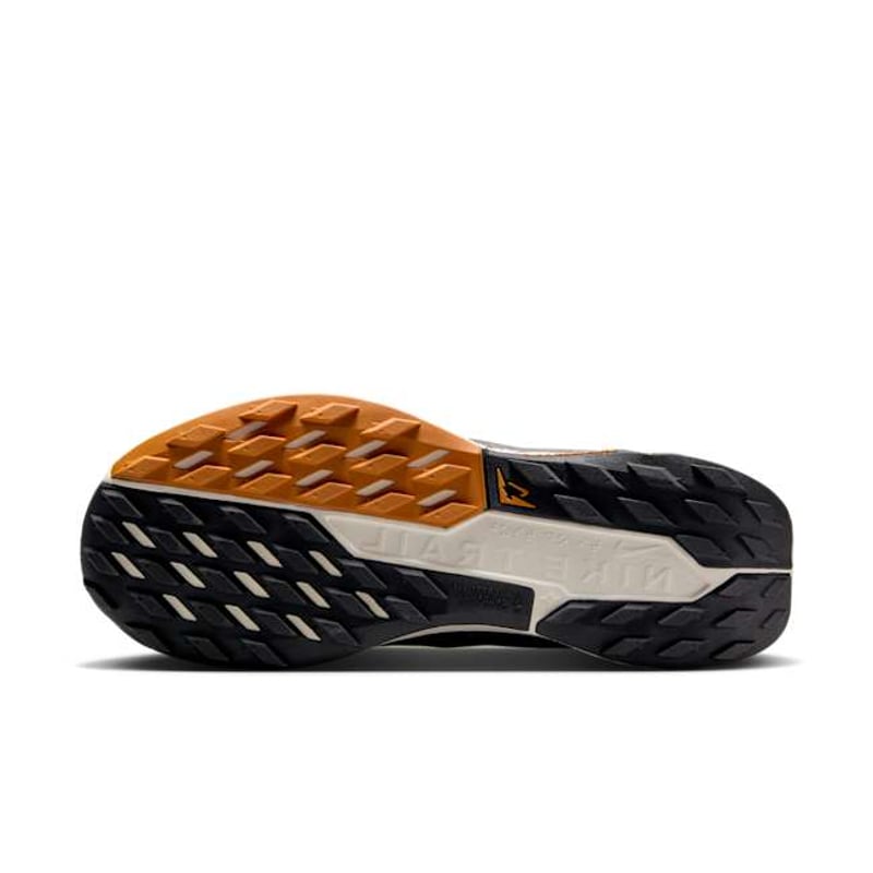 Nike Pegasus Trail 5 DV3865-006 02