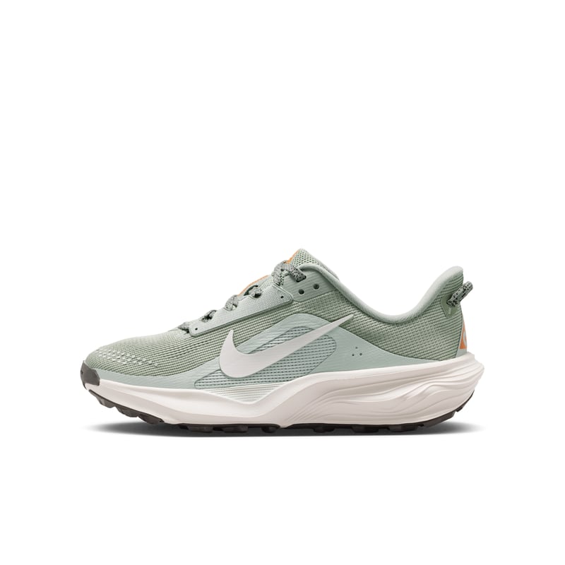 Nike ACG Pegasus IH2305-301 01