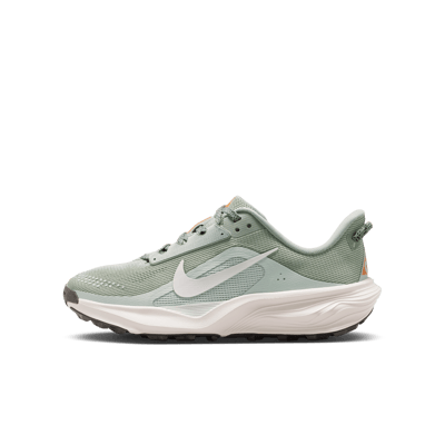 Nike ACG Pegasus IH2305-301