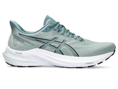 ASICS GT-2000 12 1011B691-402