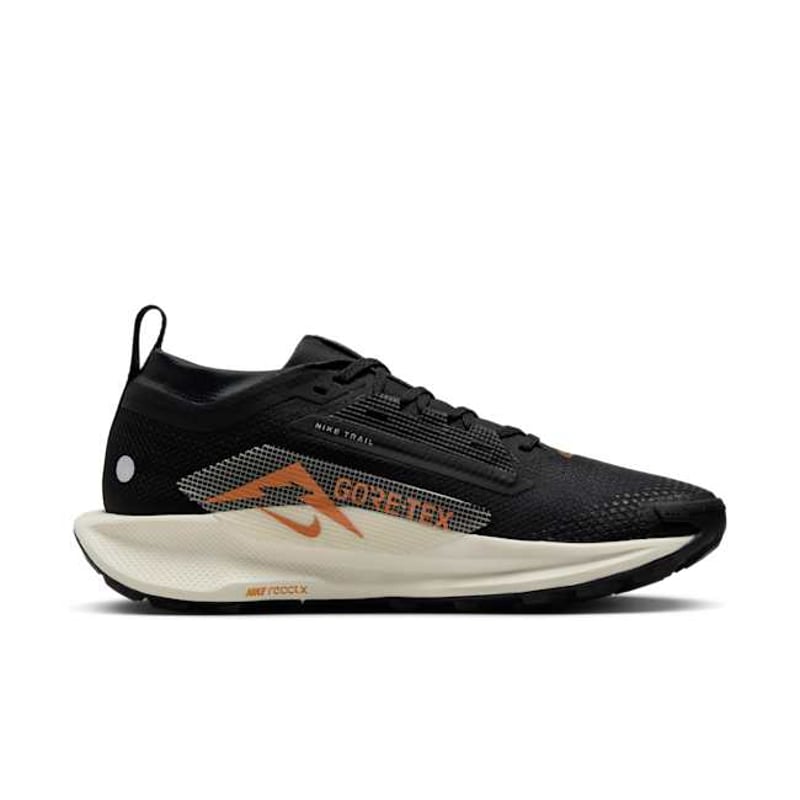 Nike Pegasus Trail 5 GORE-TEX FQ0912-005 03