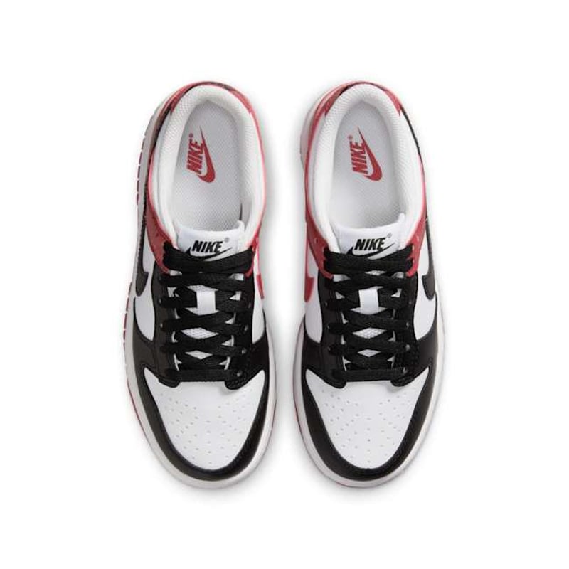 Nike Dunk Low HF9980-600 04